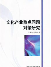 文化产业热点问题对策研究