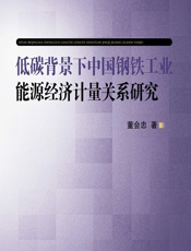低碳背景下中国钢铁工业能源经济计量关系研究 - 董会忠
