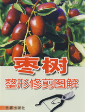 枣 树 整 形 修 剪 图 解