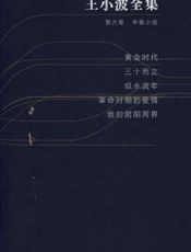 王小波全集修订版