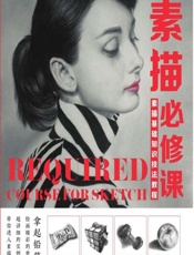 素描必修课——素描基础知识技法教程 - 博洋,张玉芳