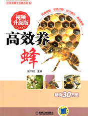 高效养蜂_视频升级版