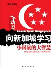 向新加坡学习：小国家的大智慧 - 陆建义