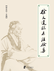 徐文达临床经验集