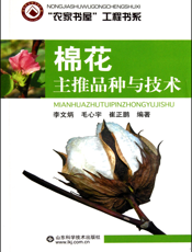 棉花主推品种与技术