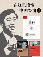 在这里读懂中国经济Ⅲ：重启 非理性亢奋 第四次金融大爆炸-李稻葵