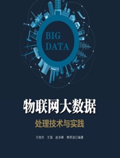 物联网大数据处理技术与实践 - 王桂玲等