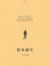 似水流年-王小波全集