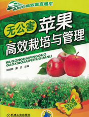 无公害苹果高效栽培与管理