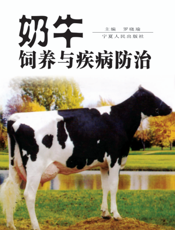 奶牛饲养与疾病防治