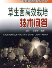 草生菌高效栽培技术问答