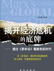 揭开经济危机的底牌 - 王佳菲