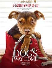 一条狗的使命：只想陪在你身边