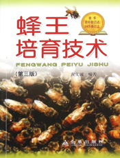 蜂王培育技术