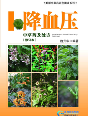 降血压中草药及处方