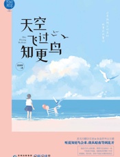 天空飞过知更鸟