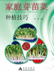 家庭芽苗菜种植技巧