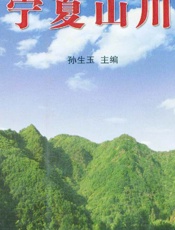 宁夏山川 - 孙生玉