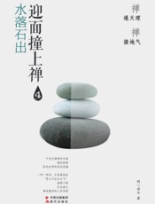 迎面撞上禅.水落石出