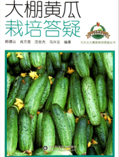 大棚黄瓜栽培答疑