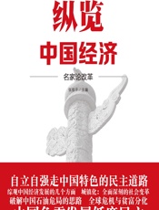 纵览中国经济——名家论改革 - 张银平