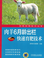 肉羊6月龄出栏快速育肥技术
