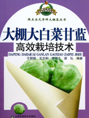 大棚大白菜甘蓝高效栽培技术