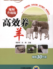 高效养羊_视频升级版