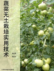 蔬菜无土栽培实用技术