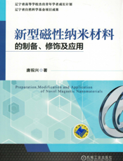 新型磁性纳米材料的制备、修饰及应用