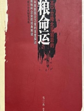 宁高宁空降北京前后的中粮命运 - 韦三水