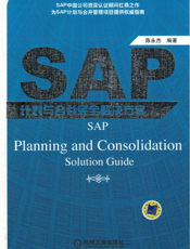SAP计划与合并完全解决方案