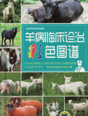 羊病临床诊治彩色图谱
