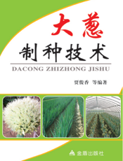 大葱制种技术