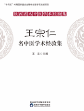 王宗仁名中医学术经验集