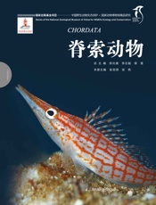 国家动物博物馆精品研究——脊索动物