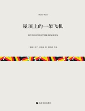 屋顶上的一架飞机