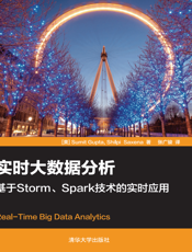 实时大数据分析