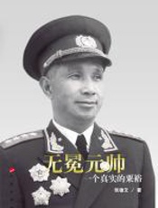 无冕元帅 - 张雄文