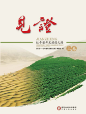 见证——红寺堡开发建设之路