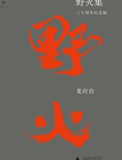野火集：三十周年纪念版