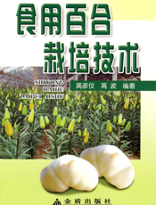 食用百合栽培技术