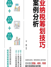 企业纳税筹划技巧与案例分析 - 平准