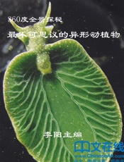 360度全景探秘_最不可思议的异形动植物