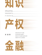 知识产权金融 - 陈磊