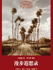 漫步遐想录
