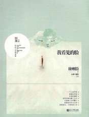 我看见的脸_锐角书系