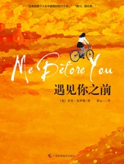 遇见你之前
