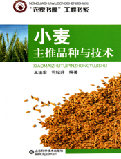 小麦主推品种与技术