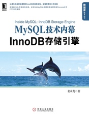 MySQL技术内幕_InnoDB存储引擎